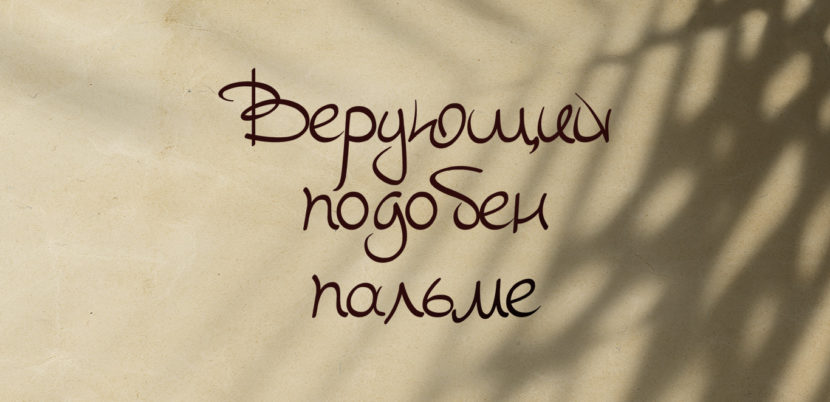 Верующий подобен пальме